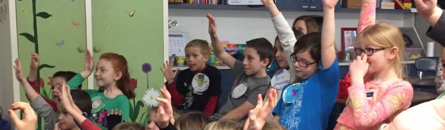Students raising hands while engaged in class